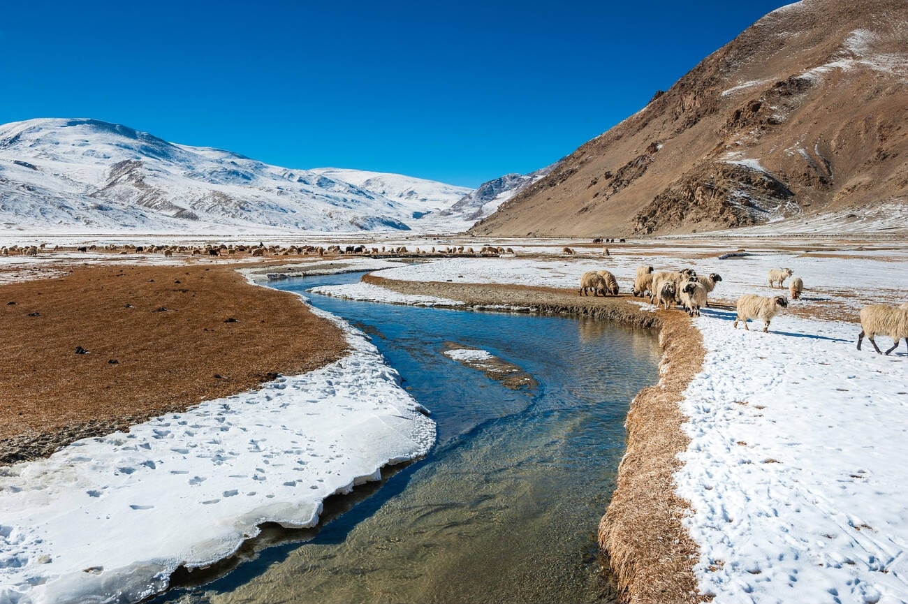 Leh Ladhak Image 3